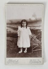 Victorian Cabinet Card Photo Young Girl Child Reading, PA Strunk Antique picture