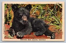 Greetings From Hayward Wisconsin Unposted Linen Postcard Bear Cub picture