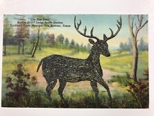 vintage 1954 deer San Antonio Texas post card picture