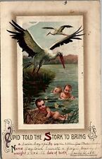1911 STORK TWINS BIRTH ANNOUNCEMENT GAYLORD MUSSLEMAN INDIANA POSTCARD 39-63 picture