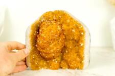Rare Citrine Crystal Cluster with X-Large, Intact Flower Stalactite picture