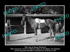 OLD 8x6 HISTORIC PHOTO OF FAMOUS AUSTRALIAN RACE HORSE PHAR LAP IN NZ c1931 1 picture