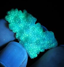 6.1g Natural Rare Green Blue UV Light Coral Mineral Specimen picture