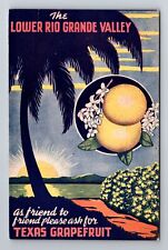 Lower Rio Grande Valley TX-Texas, TX Grapefruit Advertising, Vintage Postcard picture