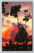 FL-Florida, Sunset in Florida, Vintage Postcard picture