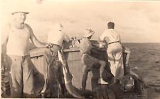 1942 WW2 Freetown Sierra Leone Original Photo Fishing Trip Sailors MS Sobieski picture