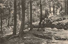 The Sanctuary Prouts Neck Maine ME c1910 Vintage Postcard picture