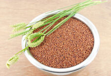 Kerala Naturals Cleaned and roasted ragi / finger millet 1 kg (250 gm x 4 packs) picture