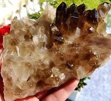 592g Natural Beautiful Black Quartz Crystal Cluster Mineral Specimen Rare picture