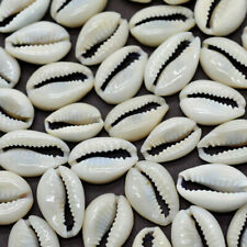 100Pcs Small Bulk Cut Sea Shell Ivory Cowrie Cowry Beads Beach Jewelry DIY Bu picture