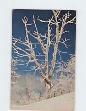 Postcard Typical Winter scene in Vermont picture