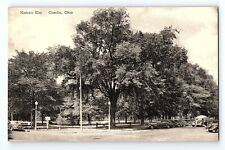 Historic Elm Oberlin Ohio Vintage Postcard picture