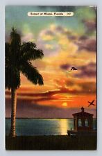 Miami FL-Florida, Palm At Sunset, Antique, Vintage Souvenir Postcard picture