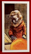 STINGRAY - Card #11 - APHONY - CADET SWEETS (1964) - Gerry Anderson picture