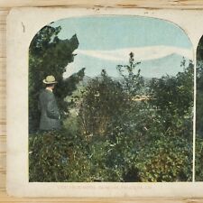 Hotel Raymond Pasadena California Stereoview c1905 Landscape Lithograph CA H1399 picture