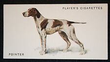 POINTER   Vintage 1930's Arthur Wardle Illustrated Dog Card  CD14M picture