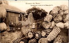 Exaggerated Corn & Cabbage on an Iowa Farm RPPC Real Photo 1909 Postcard J396 picture