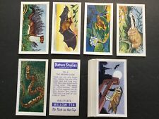 1957 Halpins Nature Studies Set of 25 Cards Sku281N picture