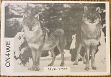 QSL Card - La Louviere, Belgium - Jean-Marie Lejeune - ON4WE - 1987 - Postcard picture