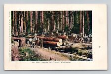 Postcard Logging Timber Trees by Horse Washington State, Antique N13 picture