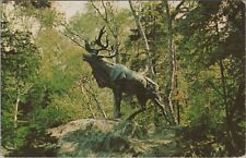 Caribou in Bowring Park St. John's Newfoundland Posted Chrome Vintage Post Card picture
