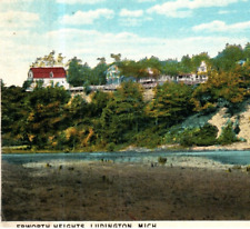 c.1915 Postcard, Ludington, Michigan, Epworth Heights, Landscape, Houses-B2-38 picture
