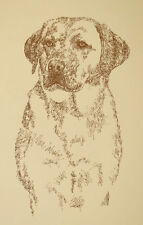 YELLOW LABRADOR RETRIEVER - Rainbow Bridge Personalized Kline dog art lithograph picture