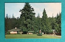 Poulsbo Washington WA Evergreen Motel and Trailer Park Postcard picture