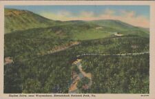 c1930s Postcard Shenandoah River National Park, Skyline Drive Virginia VA 5477.4 picture
