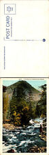 Colorado fishing in a mountain stream CO Postcards unused 52096 picture