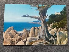 The rugged California coast line Vintage Postcard picture