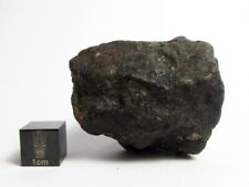 NWA x Meteorite 93.15g Fabulously Flightmarked Firestone From Space picture