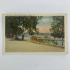 Postcard Maine Norway ME Lake Pennesseewassee Road 1927 Posted White Border picture