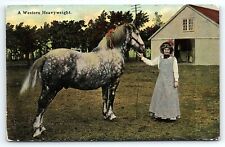 1911 LADY WITH A WESTERN HEAVYWEIGHT STALLION SOUIX FALLS SD POSTCARD P3635 picture
