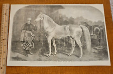 Harper's Weekly 1860 Sketch Print Arab Horse Calif of Cairo Property Judge Jones picture