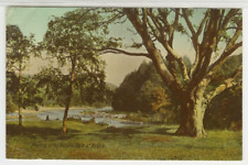 IRELAND Postcard Meeting Of The Waters - Vale Of Avoca c1915 vintage 08 picture