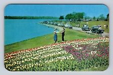 Holland MI-Michigan, Tulips At Kollen Park, Antique, Vintage Souvenir Postcard picture