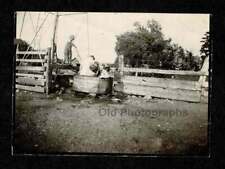 RURAL RUSTIC FARM FUN FAMILY PLAYING ANIMAL WATER TROUGH OLD/VINTAGE PHOTO- A344 picture