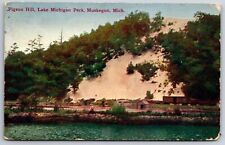 Muskegon MI~Lake Michigan Park~Pigeon Hill~c1910 Postcard picture
