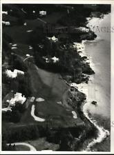 1972 Press Photo Aerial view of houses by cliffs in Tucker's Town, Bermuda picture