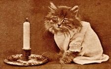 c1907 Dressed Cat With Candle, Vintage Postcard, cute picture