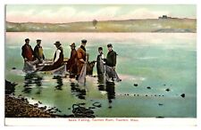 1909 Seine Fishing, Taunton River, Taunton, MA picture