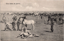 Argentina Una Doma de Potros Horses Vintage Postcard C066 picture