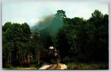 Postcard Tweetsie Railroad Emerging from Wooded Area Hwy 221 & 321 NC P107 picture