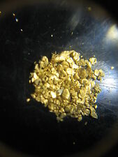 1 LB GOLD NUGGET RICH %100 UNSEARCHED PAY DIRT 8 picture