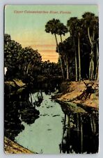 c1910 Upper Caloosahatchee River Florida P52A picture