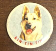 1955 Screen Gems Rin Tin Tin Pin Pinback Button  Dog VINTAGE picture