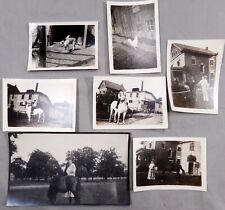 Lot of 7 Old Photographs 1930s of Animals Chicken Horses Dog Donkey Polaroids picture