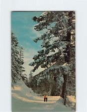 Postcard Enjoying a Walk in Winter Wonderland Pennsylvania USA picture