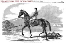 BEADSMAN, Race Horse Winner of The DERBY : Original 1858 Print 701/45 picture